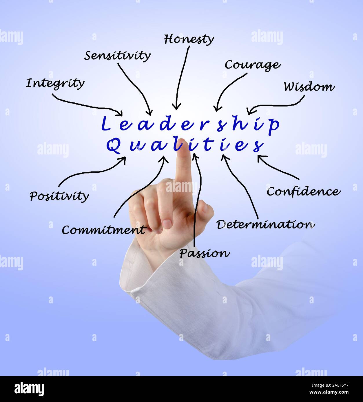 Diagram of leadership qualities Stock Photo Alamy