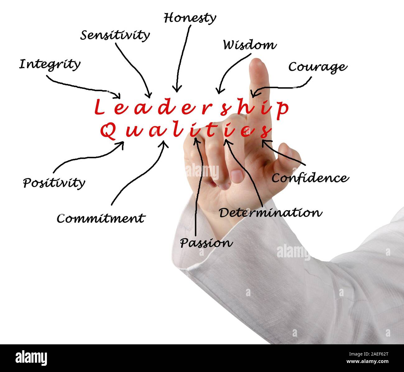 Diagram of leadership qualities Stock Photo Alamy