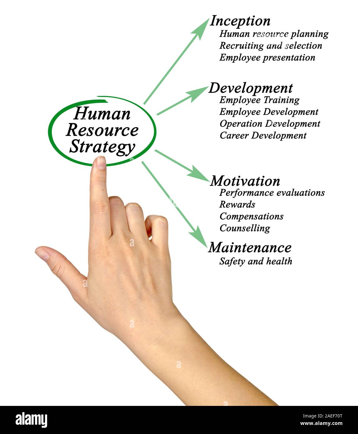 Human Resource Strategy Stock Photo Alamy