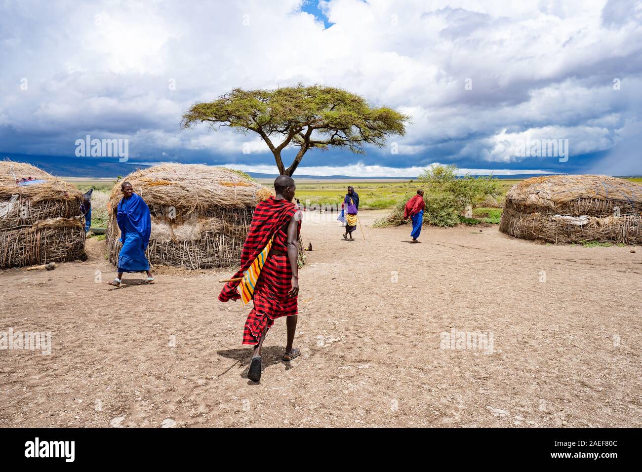 Masai Village in Tanzania Stock Photo