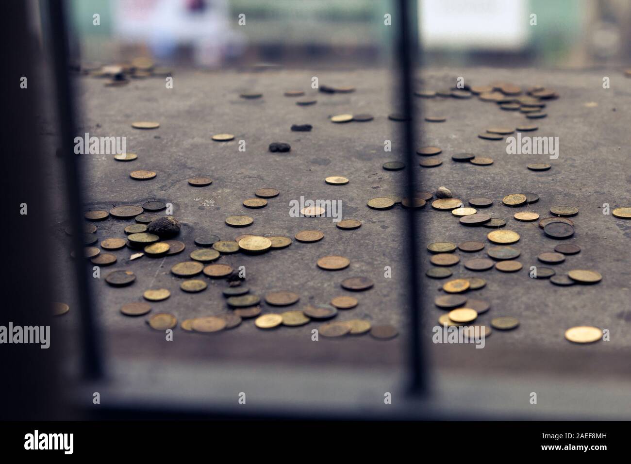 Close up of some yellow coins thrown behind bars, for good wishes.Zlotis and Euros. Stock Photo