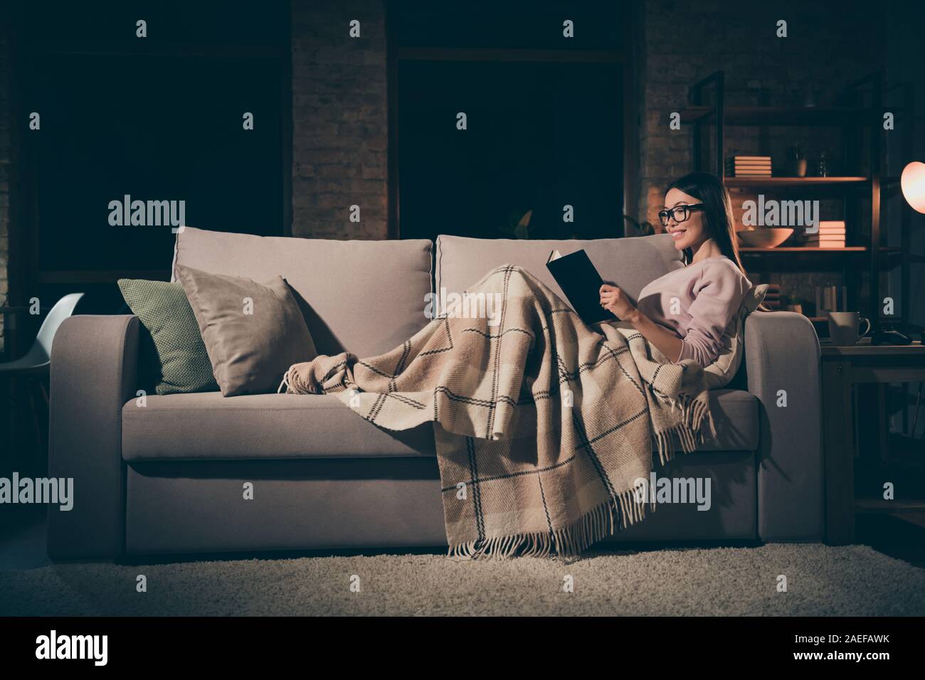 Profile photo of homey lady read exciting historic novel interested book  worm sitting couch covered warm checkered blanket casual clothes spectacles  Stock Photo - Alamy