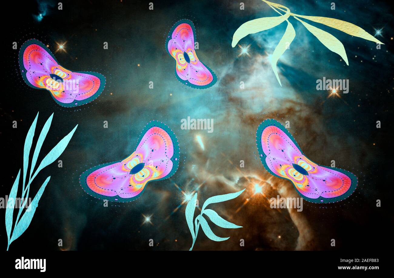 Abstract image of moths on a dark background. Stock Photo