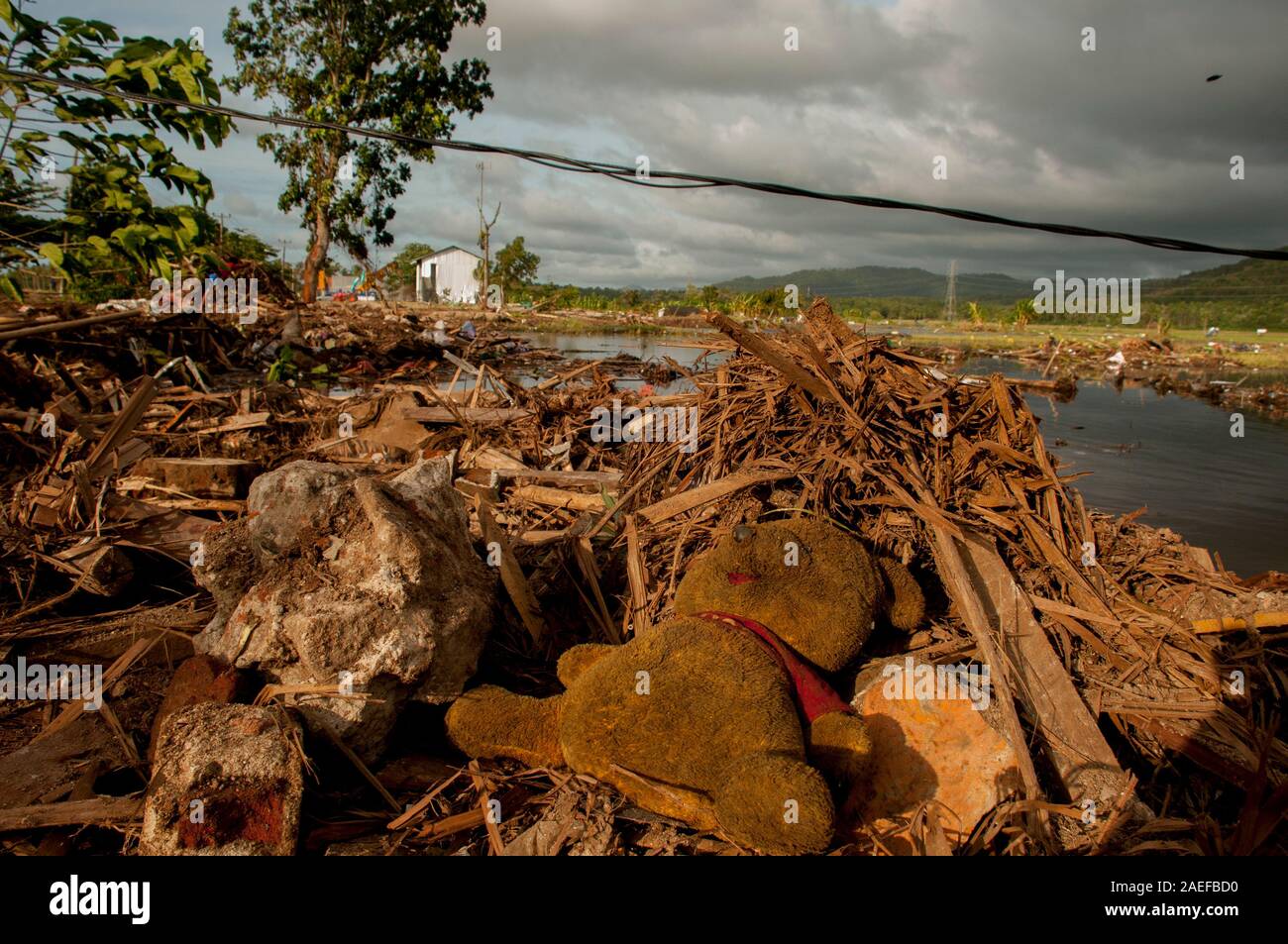 Tsunami damage house