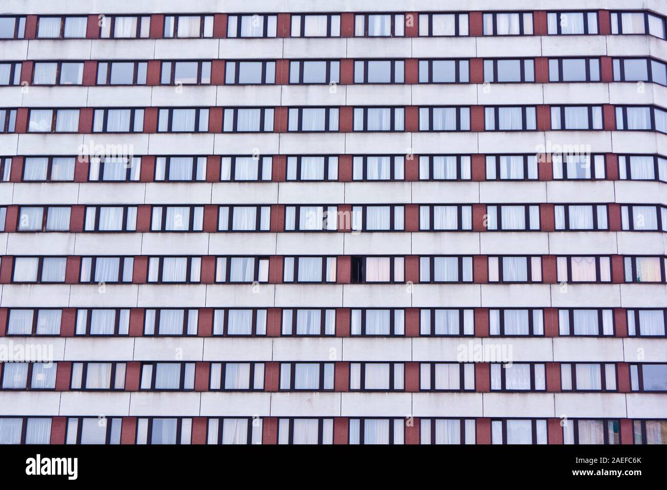 rows of closed windows just one window open Stock Photo