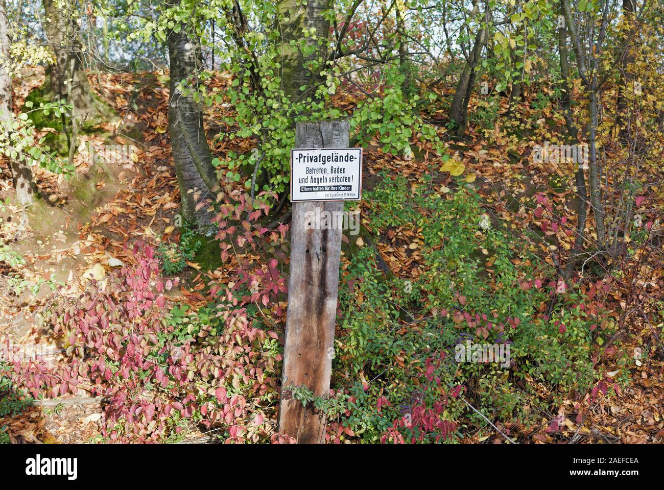 Private Property, no trespassing bathing or fishing sign, mounted on wooden plank, German, Autumn leaves on ground, bushes trees in background,Germany Stock Photo