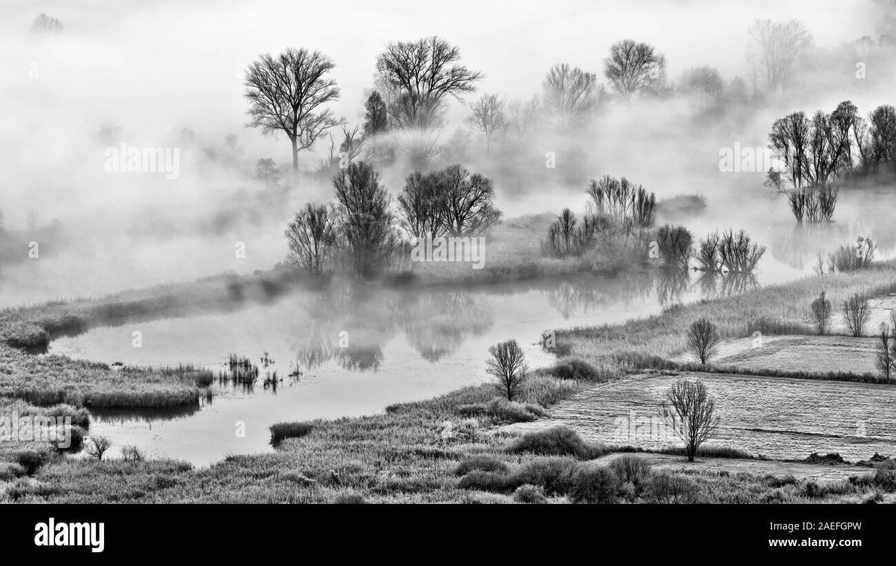 Pond ecosystem Black and White Stock Photos & Images - Alamy