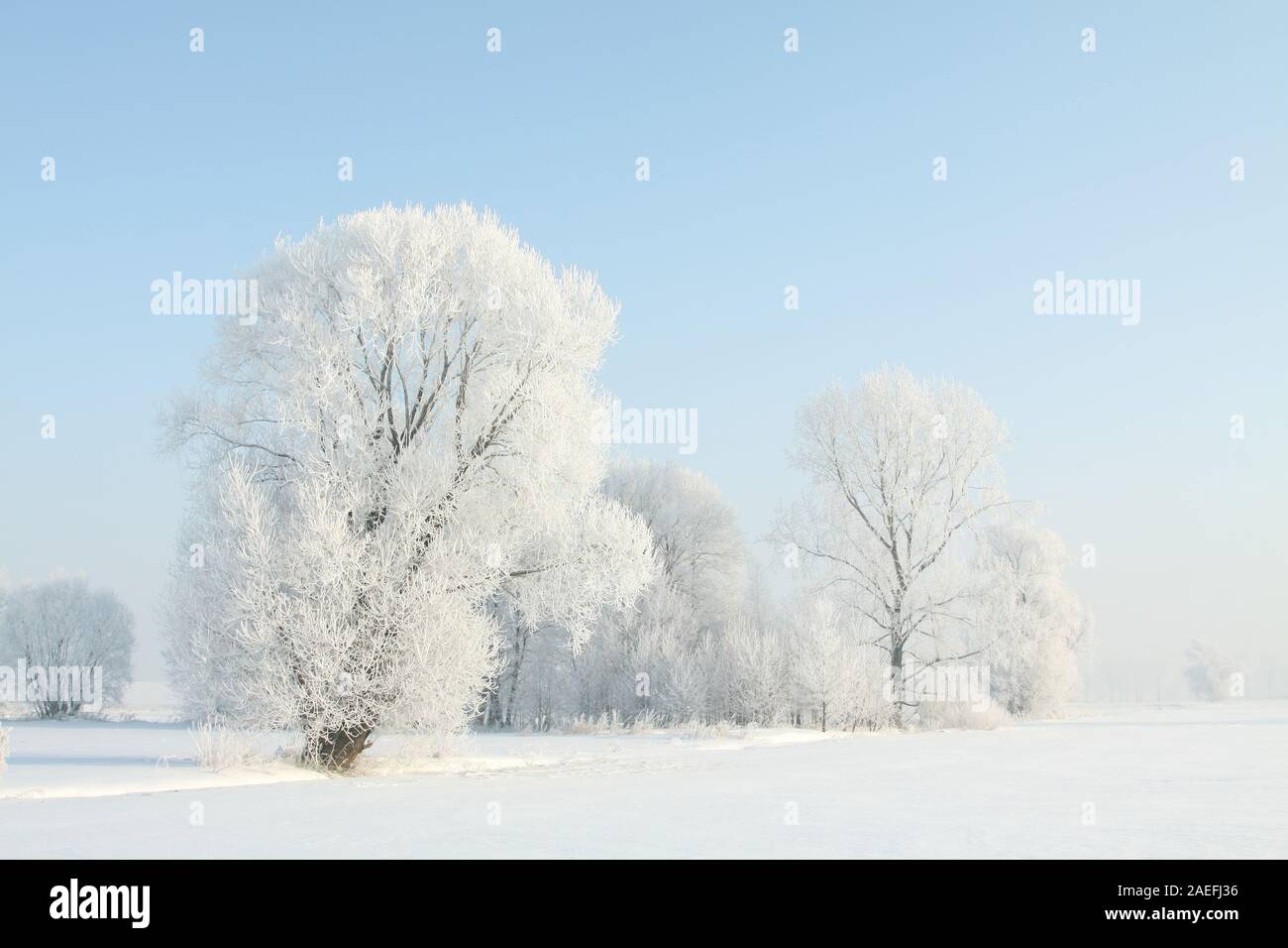 Blue sky morning sun view hi-res stock photography and images - Alamy