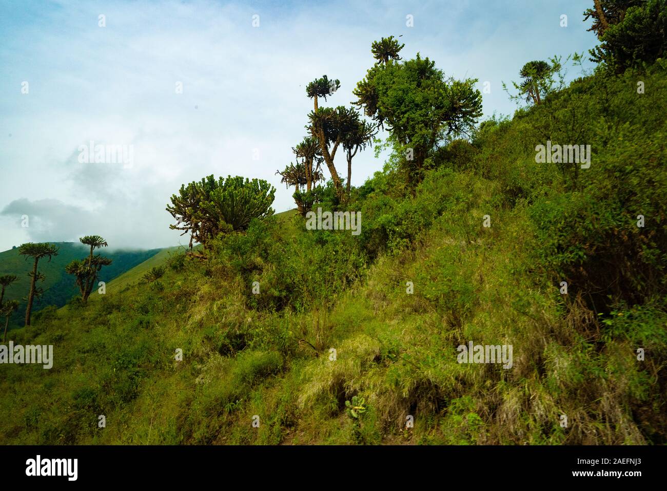 Ngorongoro Conservation Area visual data 8