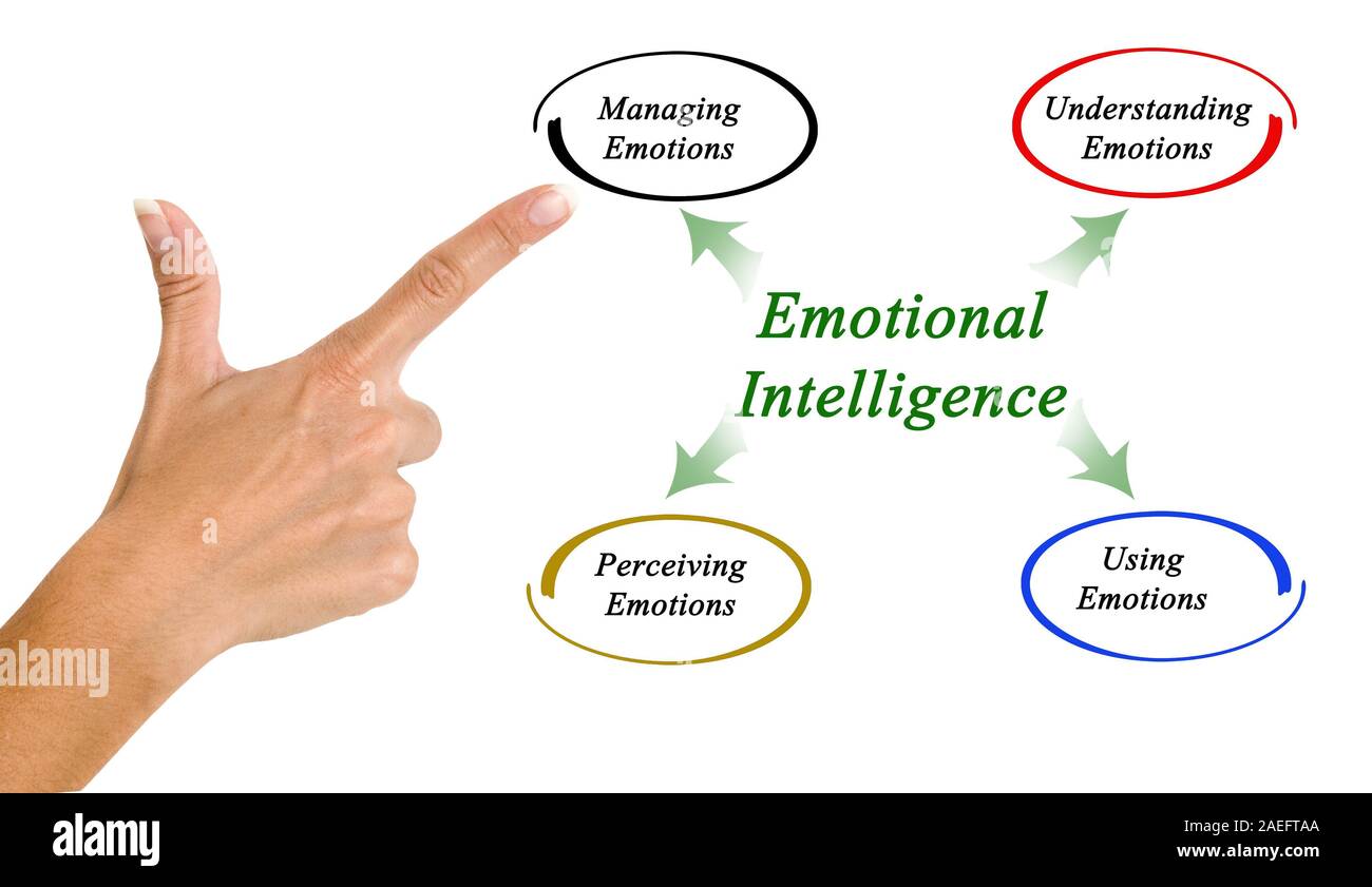 Diagram of emotional intelligence Stock Photo - Alamy