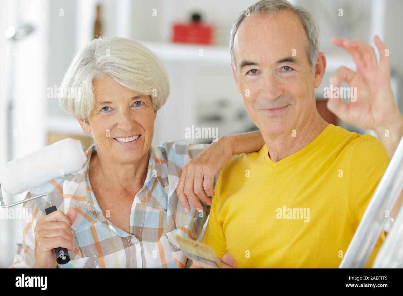 senior couple doing diy at home Stock Photo