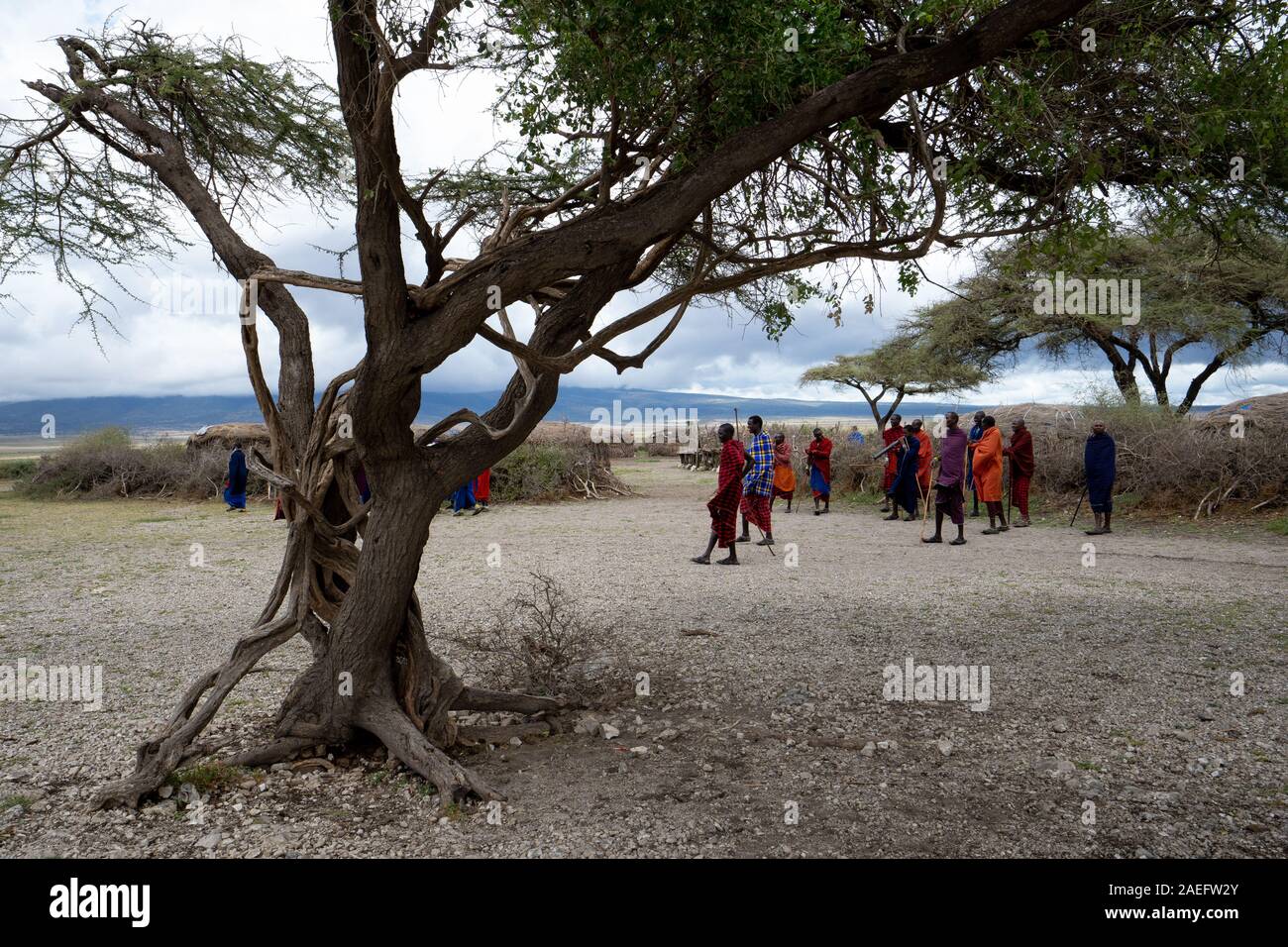 Masai tribe Stock Photo