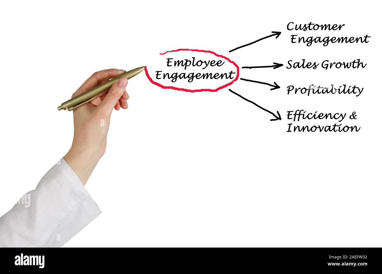Components of Employee Engagement Stock Photo Alamy