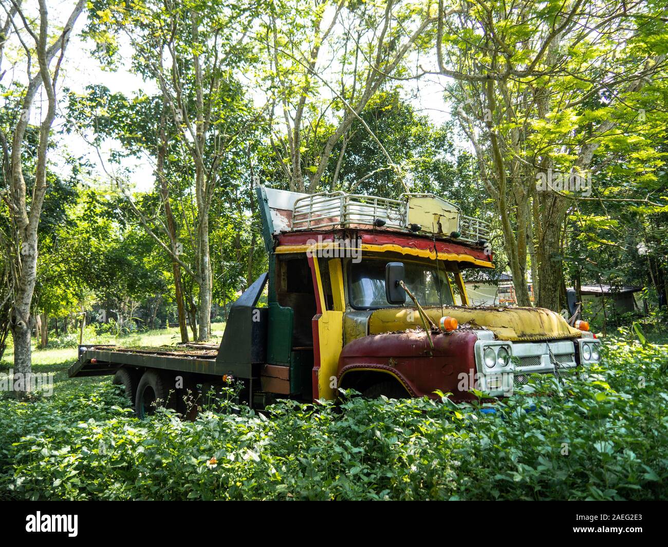 Old truck in the forest, A rusty pickup car wreck is abandoned in the ...