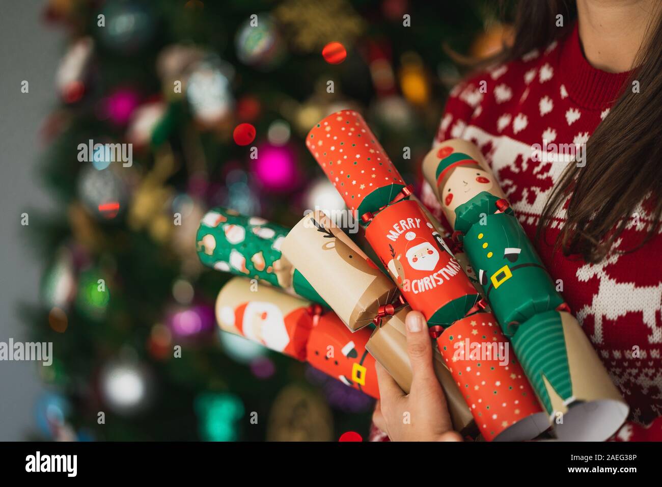 Woman Wearing a Christmas Sweater Holding Some Christmas Cracker on a Lighted Christmas tree. Stock Photo