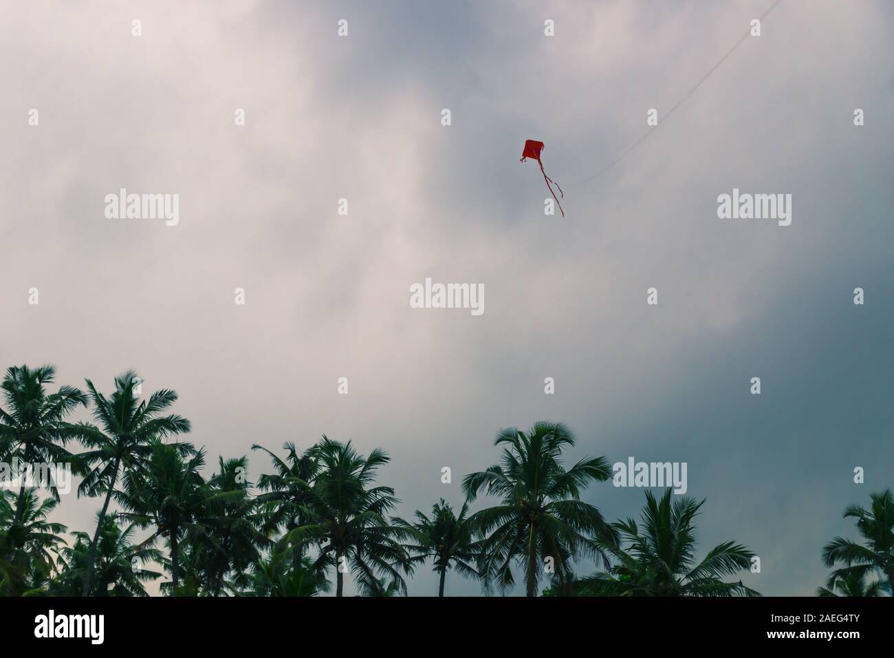 Red kite on a blue dark cloudcape with palm trees, Varkala beach, India Stock Photo