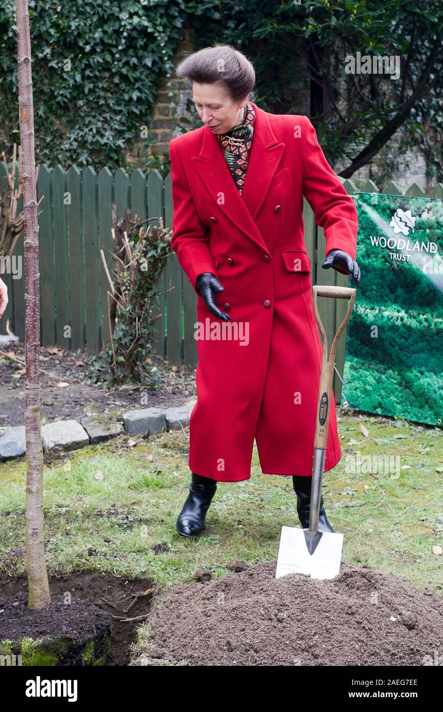 Tree spade planting woodland hi-res stock photography and images - Alamy