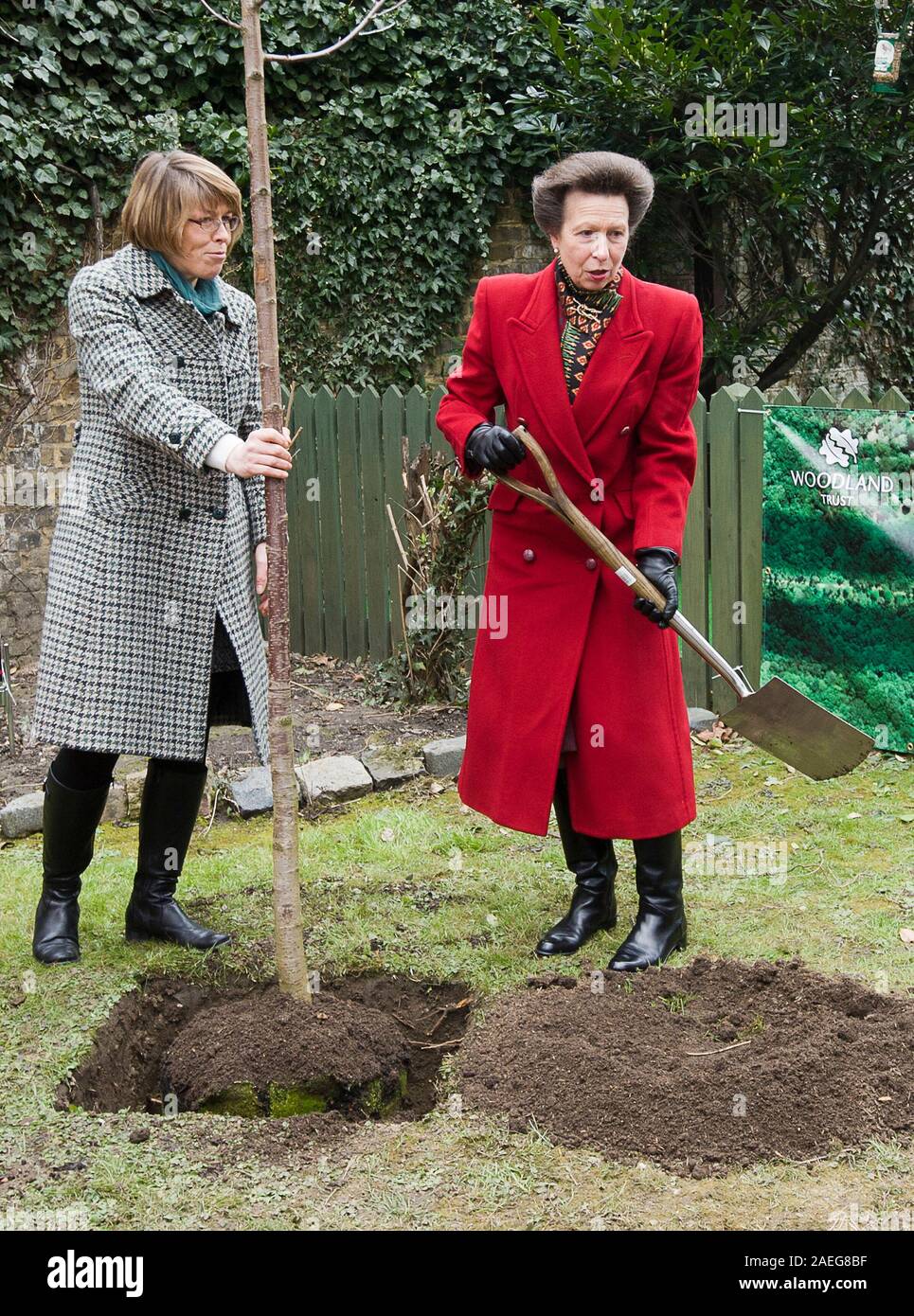 Tree spade planting woodland hi-res stock photography and images - Alamy