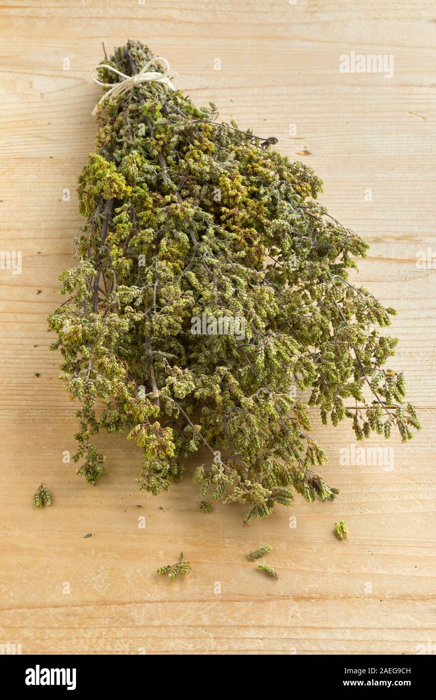 Bouquet of dried greek oregano, Origanum vulgare hirtum Stock Photo