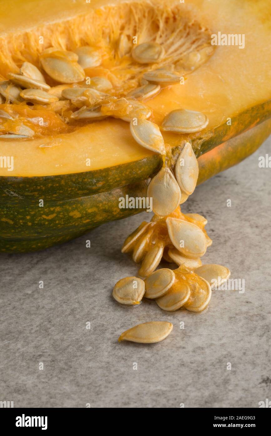 Seed of a halved fresh acorn squash close up in autumn Stock Photo