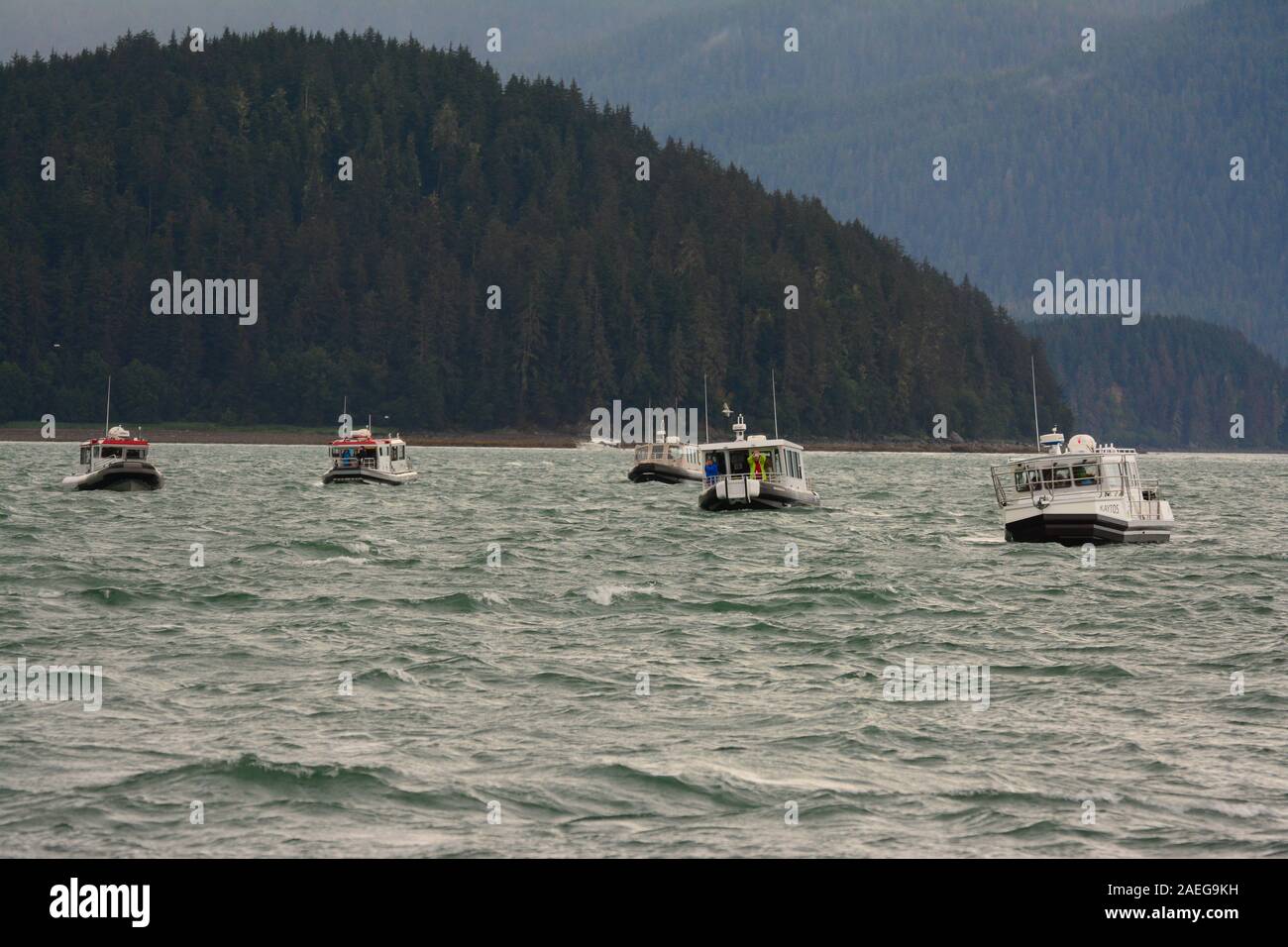 Alaska juneau whale watching hi-res stock photography and images - Alamy