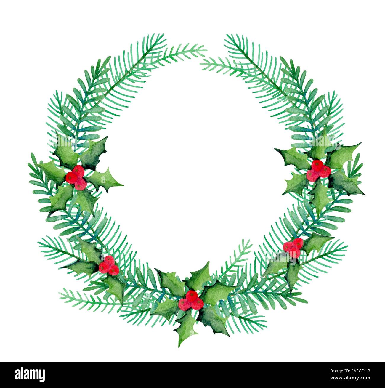 Watercolor winter hand drawn green wreath of fir branches and holly on ...