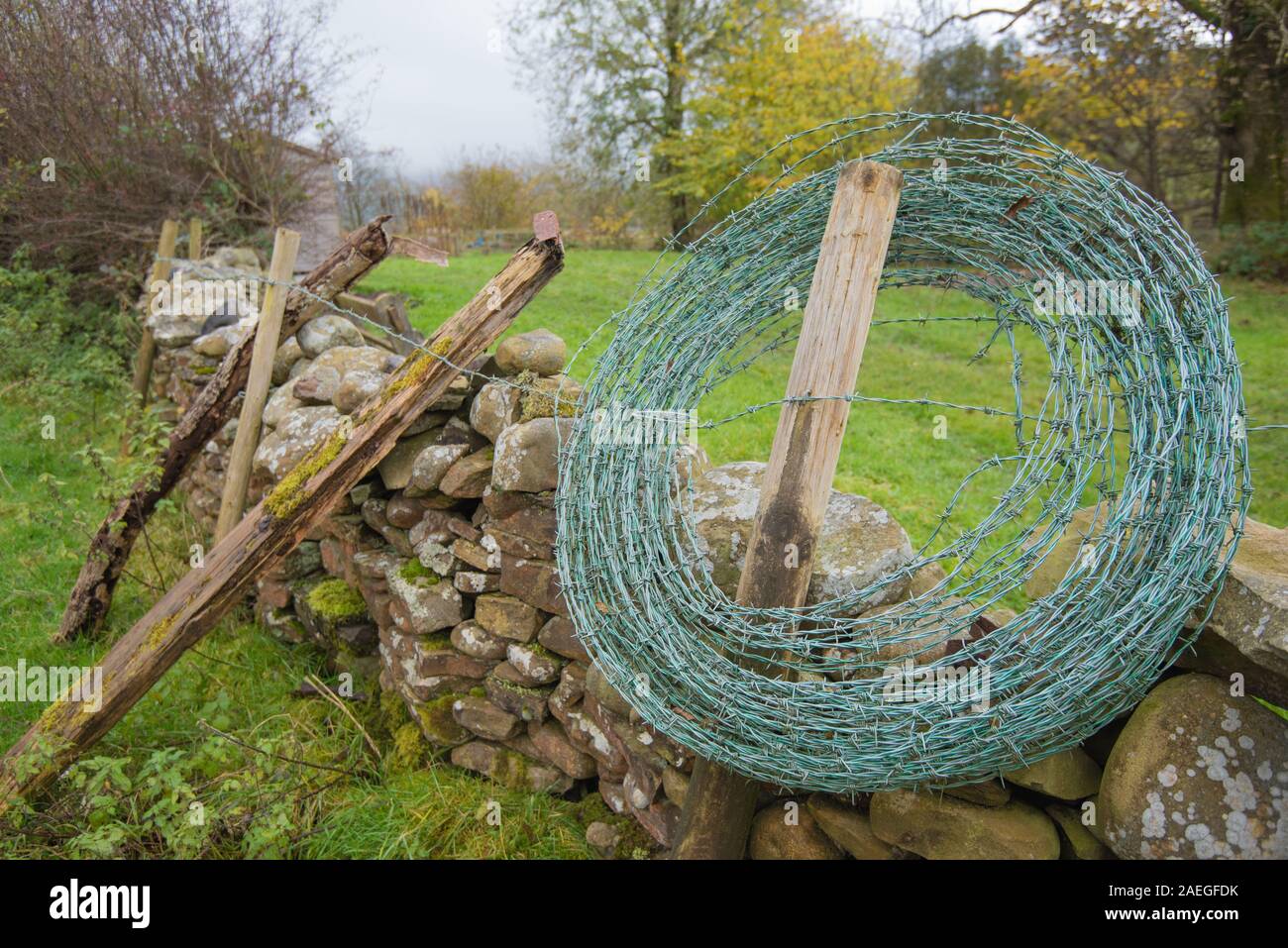 Roll of barbed wire ready to be used to mend an old dry stone wall enclosure for sheep and cows in the dent dale district of the Yorkshire Dales natio Stock Photo