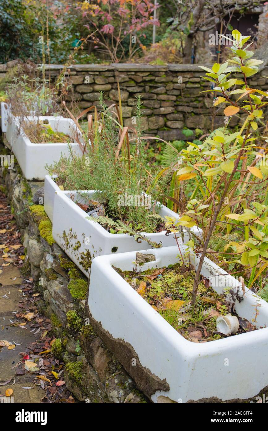 Butler sink garden hi-res stock photography and images - Alamy