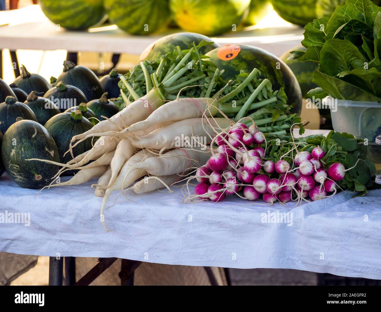 Radishes and melons displayed on a table at the Corpus Christi, Texas USA Southside Farmer's Market. Stock Photo