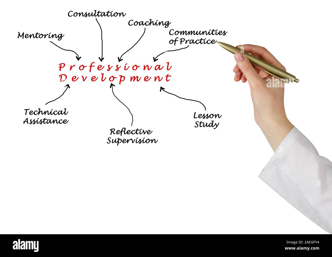 Diagram of Professional Development Stock Photo - Alamy