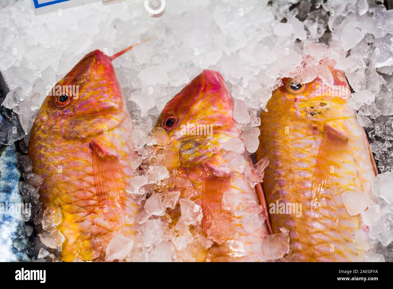 Supermarket fish counter hi-res stock photography and images - Alamy
