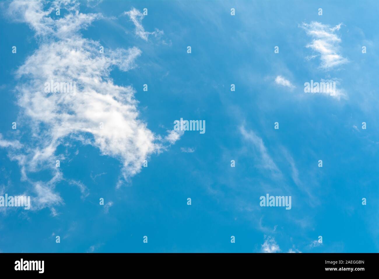 Gallery image with a fresh perspective