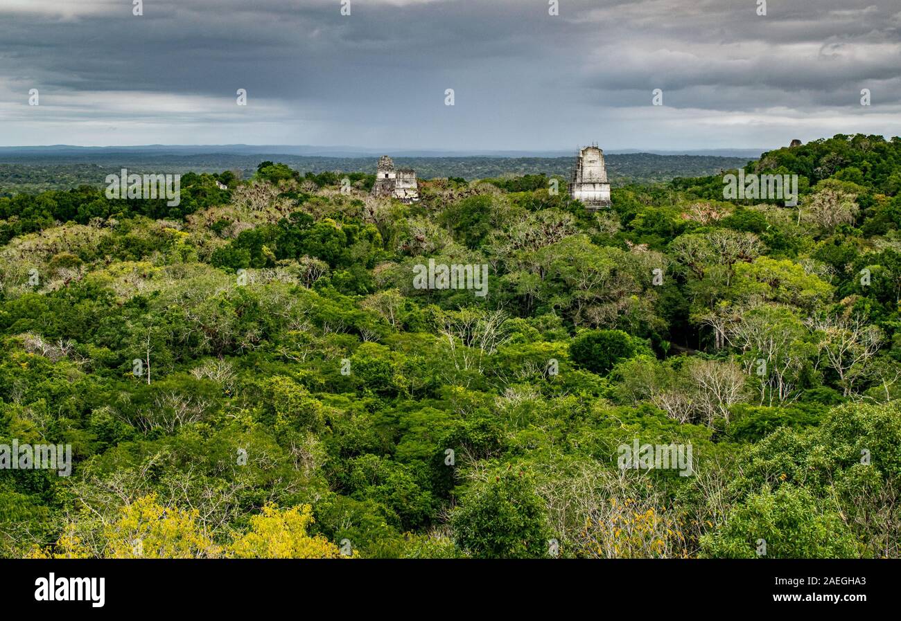Tikal archaeological site in Guatemala, an ancient Mayan city in ruins surrounded by dense jungle. Stock Photo