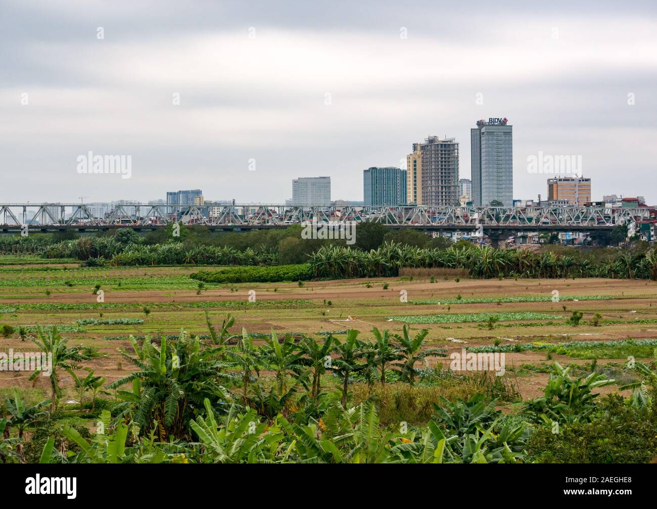 Crop fields on Red River bank with Chuong Duong Bridge, Hanoi, Vietnam,  Asia Stock Photo