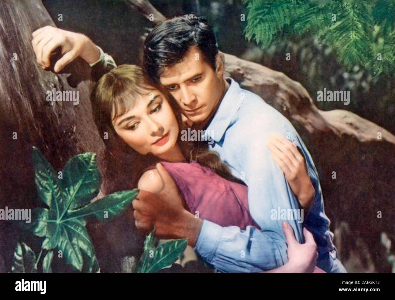 Green Mansions 1959 Mgm Film With Audrey Hepburn And Anthony Perkins Stock Photo Alamy
