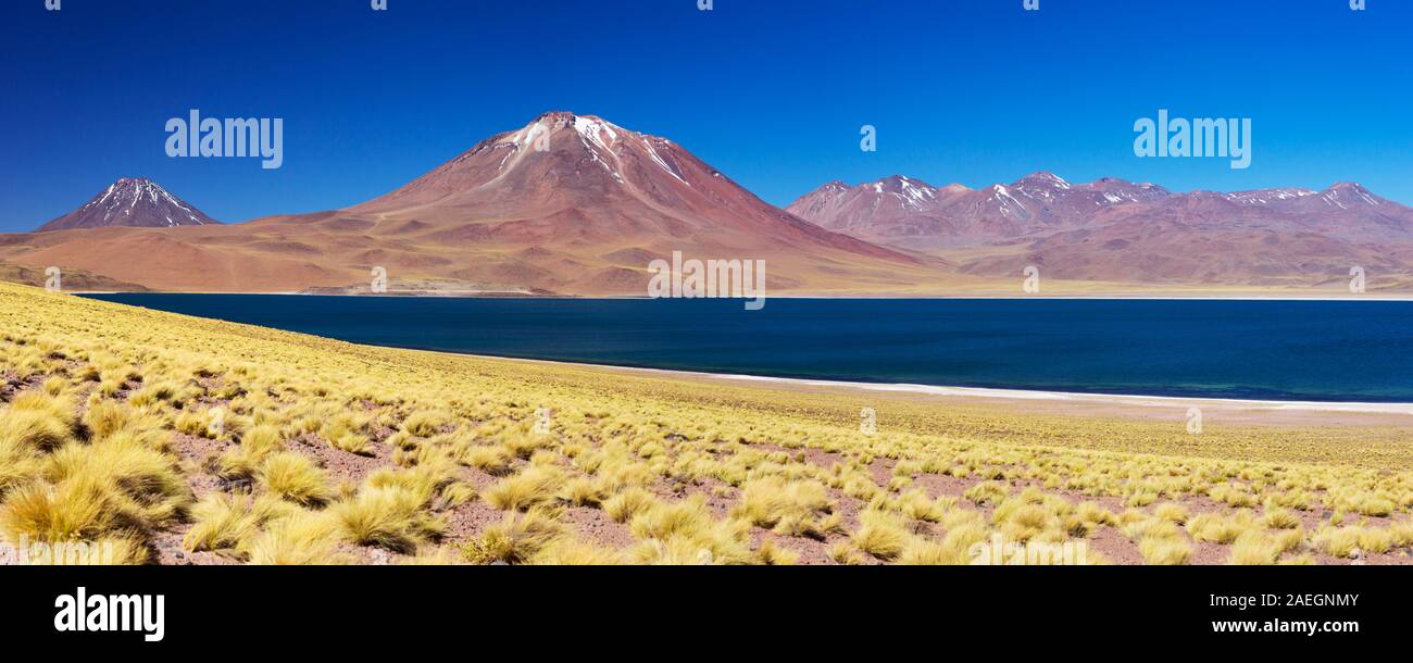 Desert lake Laguna Miscanti and Miscanti volcano in the Altiplano of Chile on a sunny day. Stock Photo