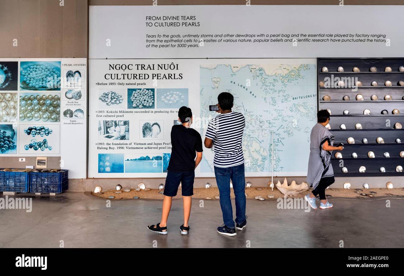 Tourists looking at information sign Legend Pearl Quang Ninh thanh pha Halong Bay Stock Photo