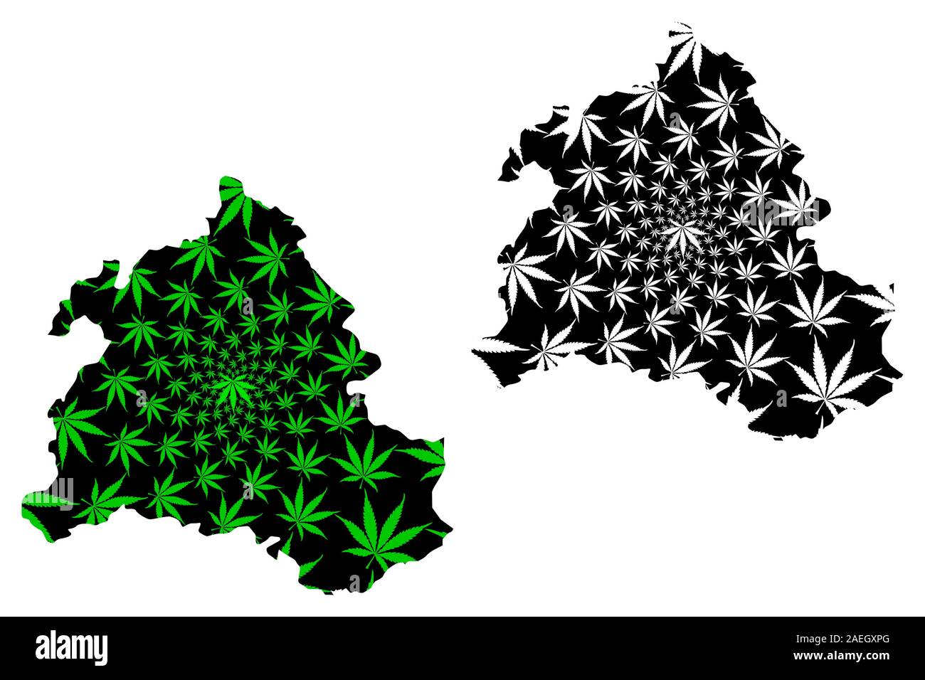 Zabul Province (Islamic Republic of Afghanistan, Provinces of Afghanistan) map is designed cannabis leaf green and black, Zabul map made of marijuana Stock Vector