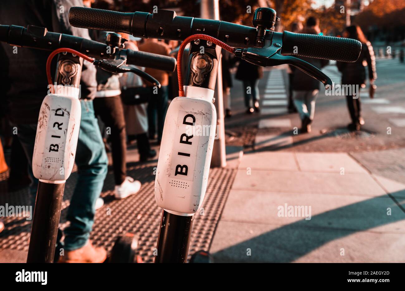 Close up of handle bars of a dockless electric BIRD scooter Stock Photo