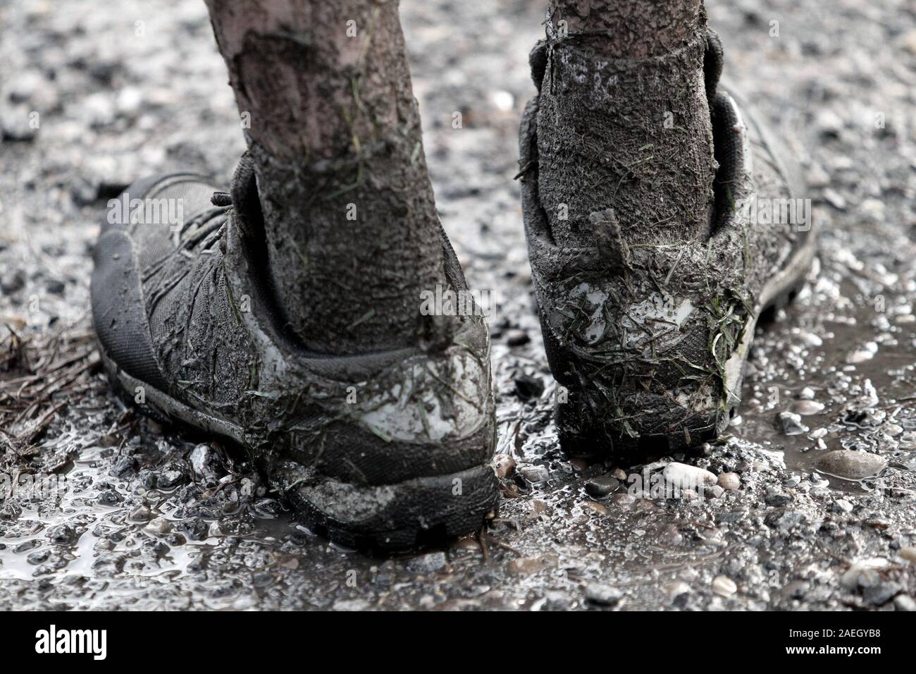 mud run trainers