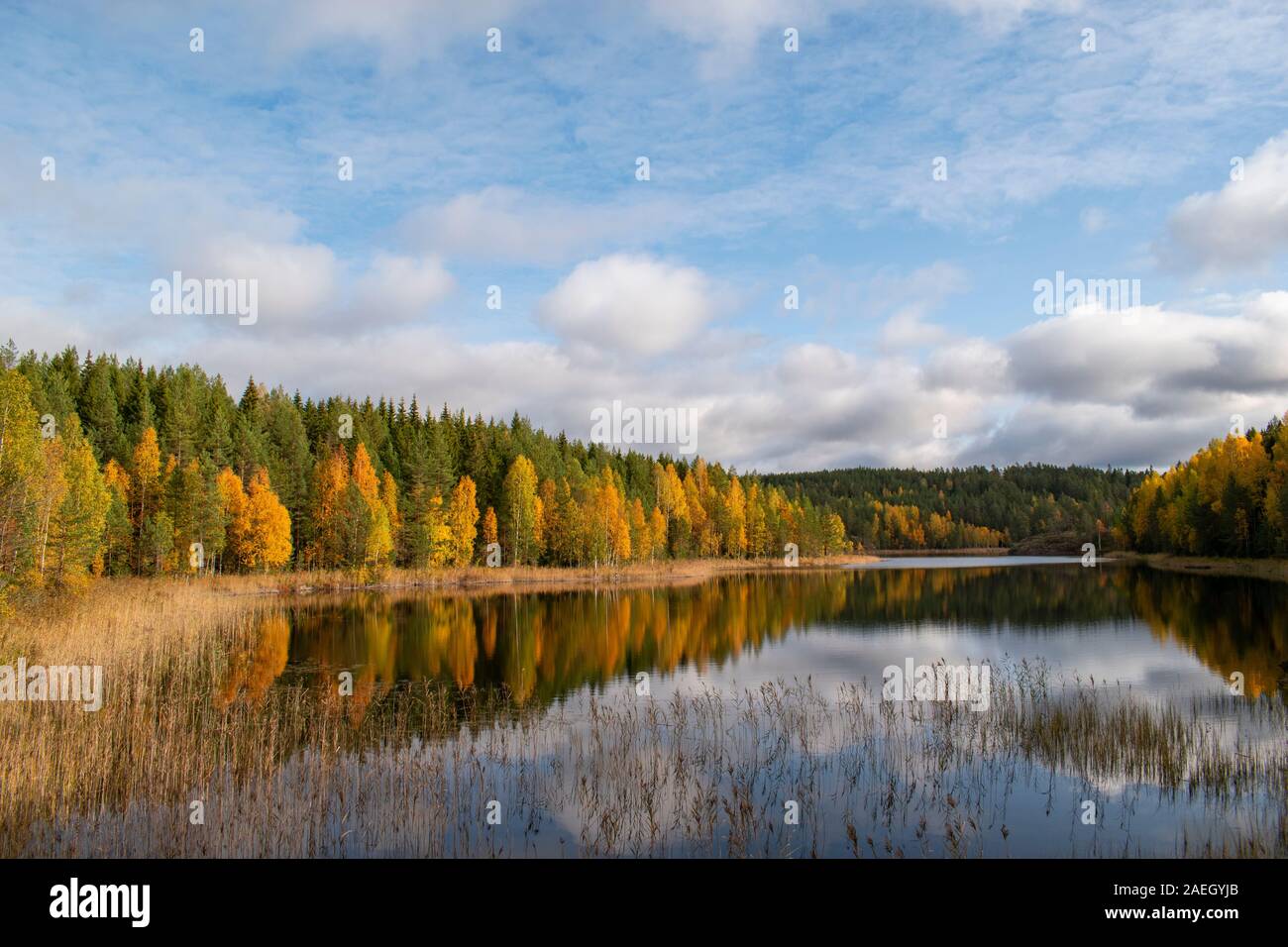 Repovesi A lake in Repovesi National park in Finland, at the moment the sun ...