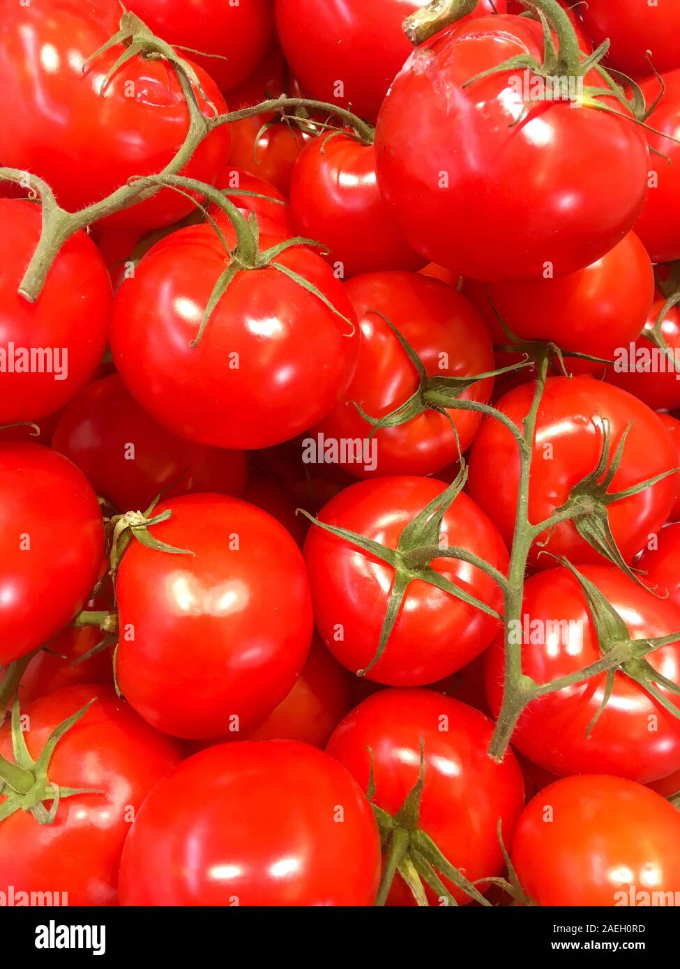 Trusses of tomatoes, supermarket, Lyon, France Stock Photo