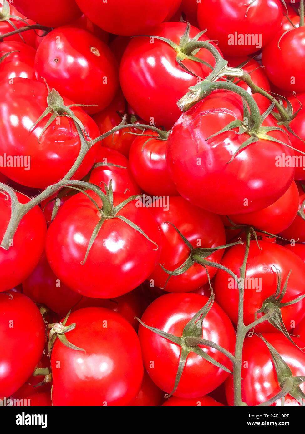 Trusses of tomatoes, supermarket, Lyon, France Stock Photo