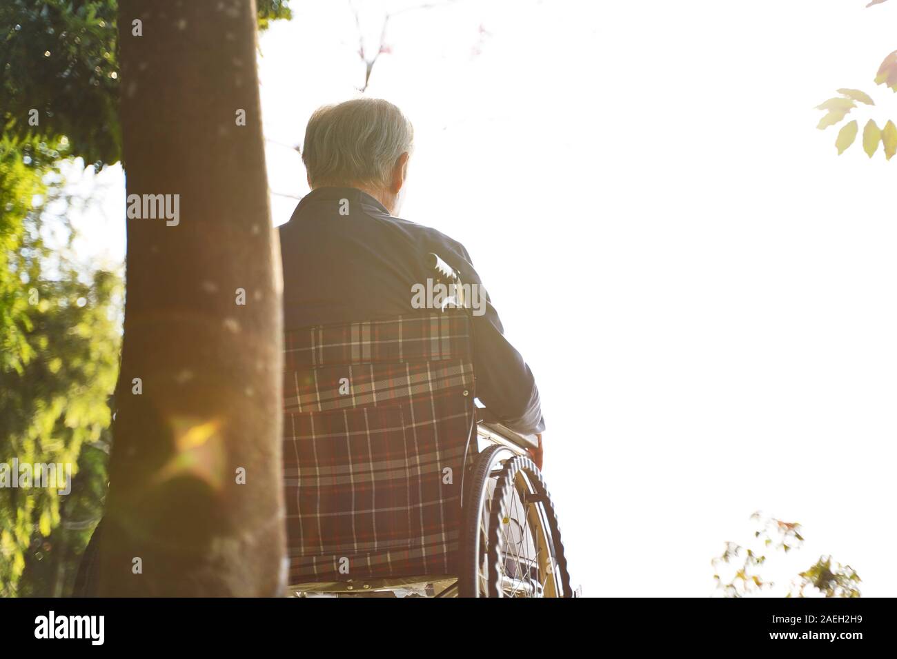 rear view of asian senior man sitting in wheel chair Stock Photo
