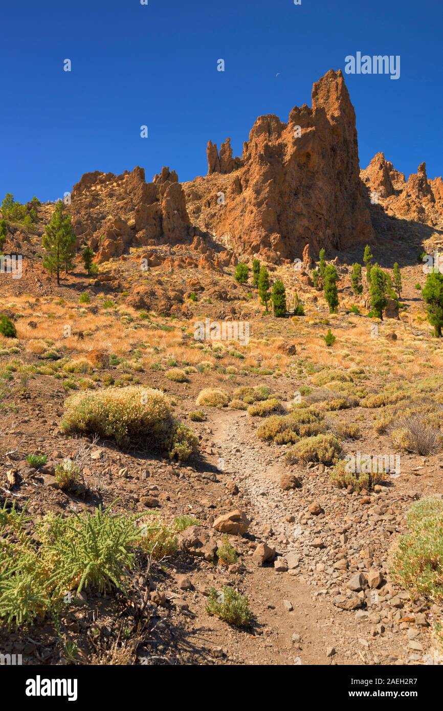 Volcanic landscape in the Teide National Park on Tenerife, Canary Islands, Spain. Photographed on a sunny day. Stock Photo