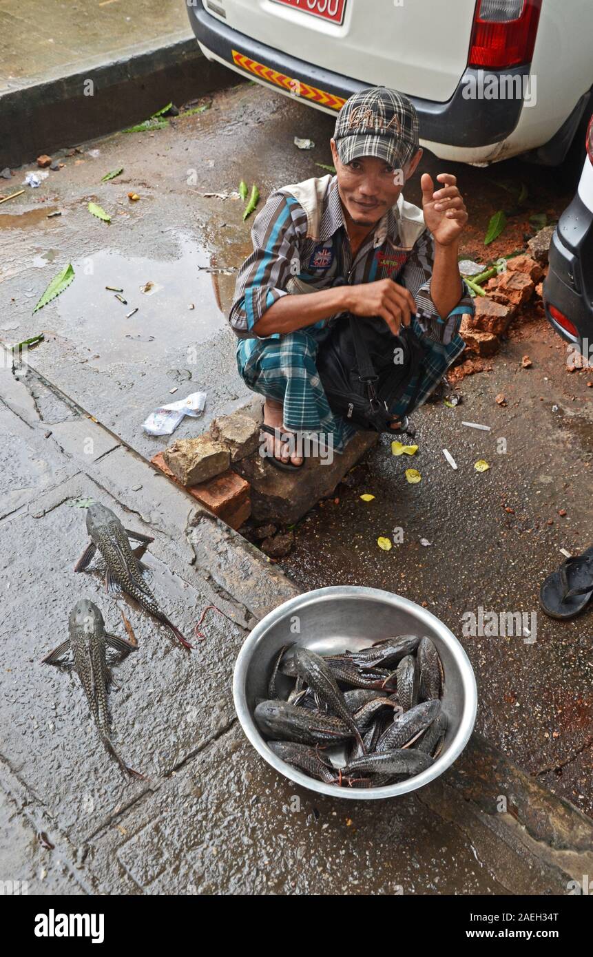 A man sells armoured catfish on a street in Yangon, Myanmar Stock Photo