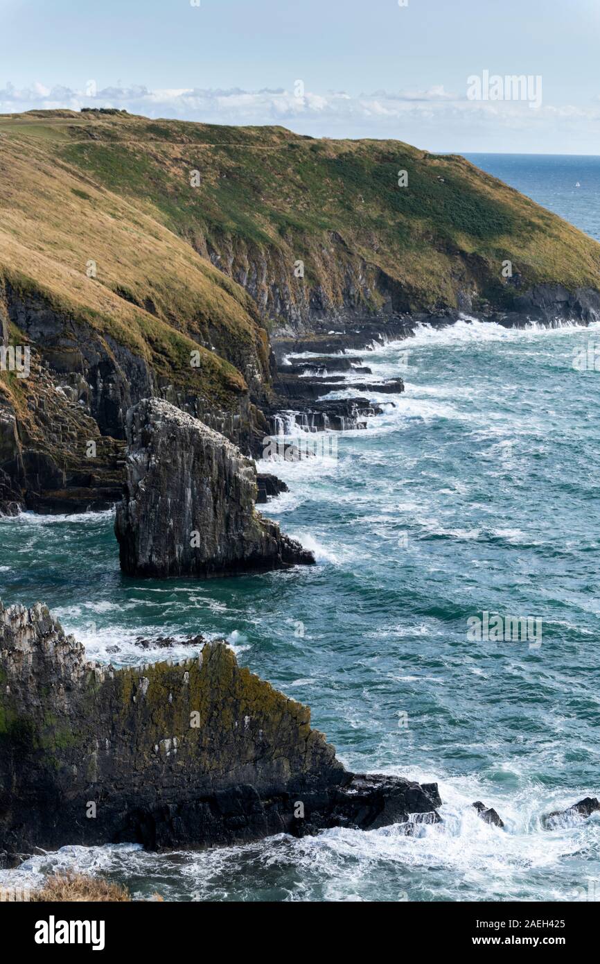 View of the coast, Old Head of Kinsale, Kinsale, County Cork, Ireland Stock Photo Alamy