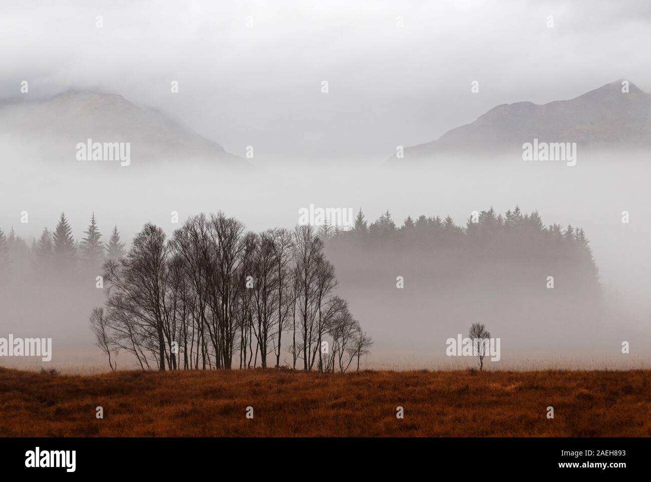 Photograph by © Jamie Callister. Misty Valleys surrounding Fort William, North West Scotland, UK, 24th of November, 2019. Stock Photo