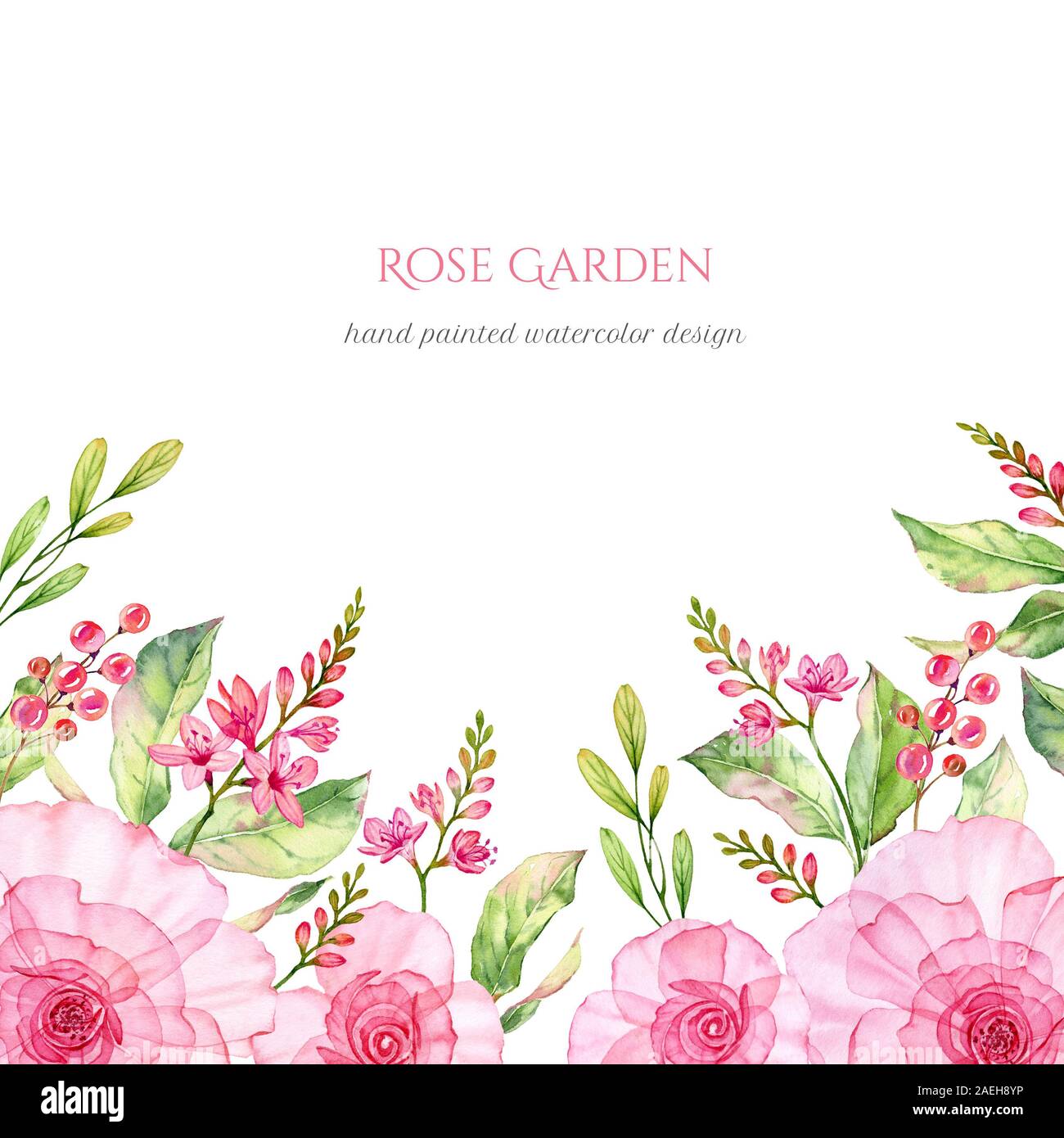 Rose Garden bottom border and place for text. Watercolor transparent colorful flowers isolated in white. Botanical floral square background for Stock Photo