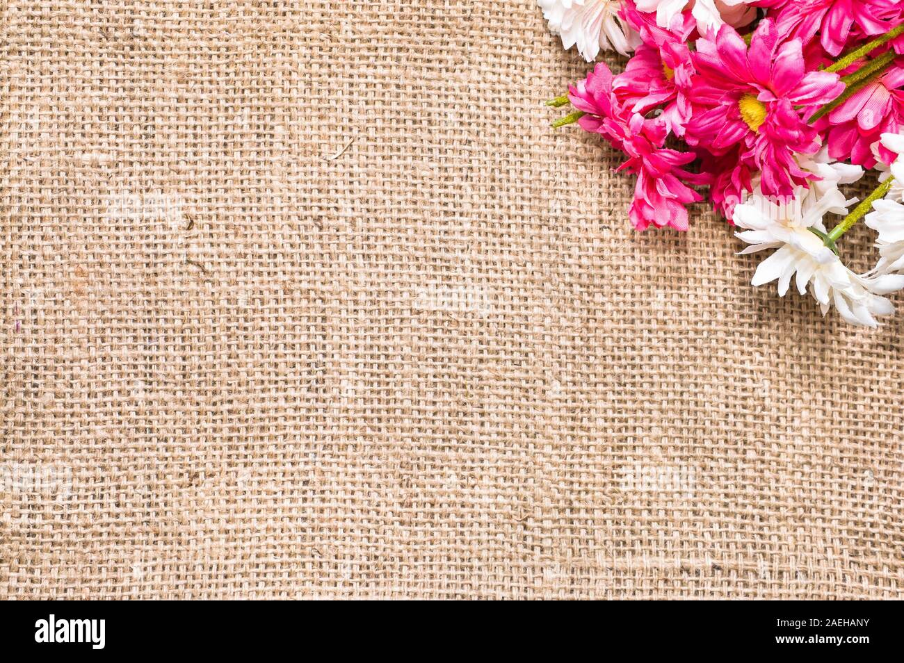 Bouquet of gerbera daisy flowers, spring background for mothers day
